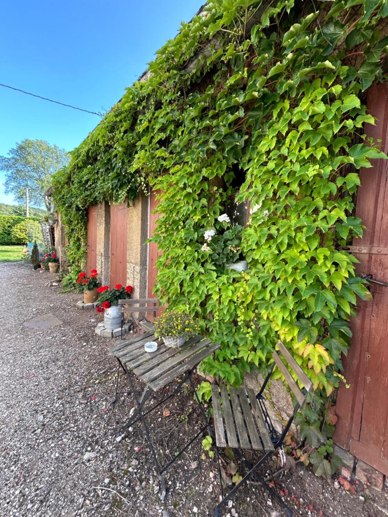 Geräumige Ferienwohnung im Grünen Lichtenstein  Exterior foto